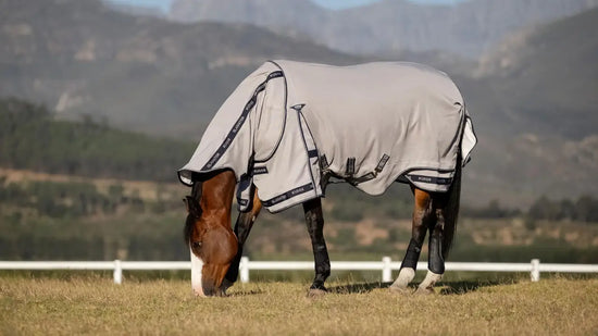 Horse wearing LeMieux Gladiator Fly Rug
