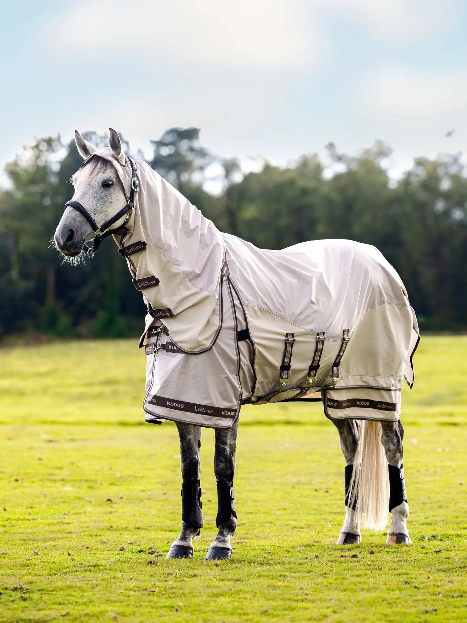 Waterproof sweet itch rug for horses