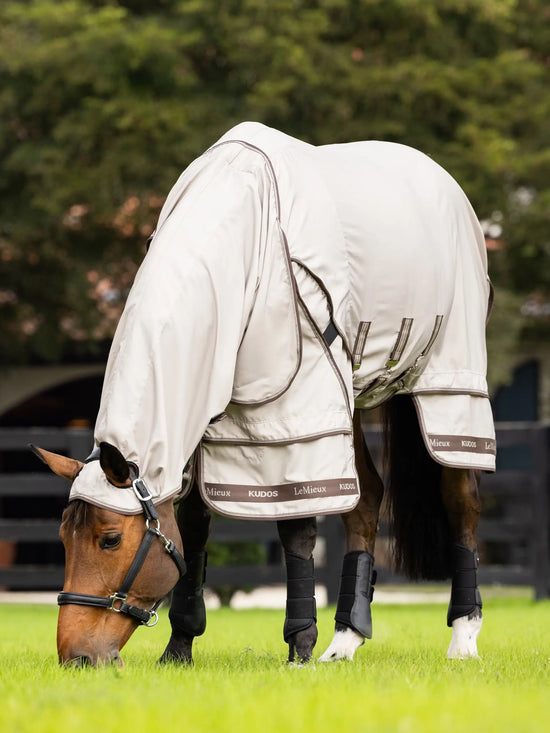 LeMieux fly rug with belly protection