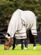 LeMieux fly rug with belly protection