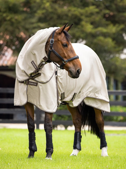 Comfortable turnout rug for horses
