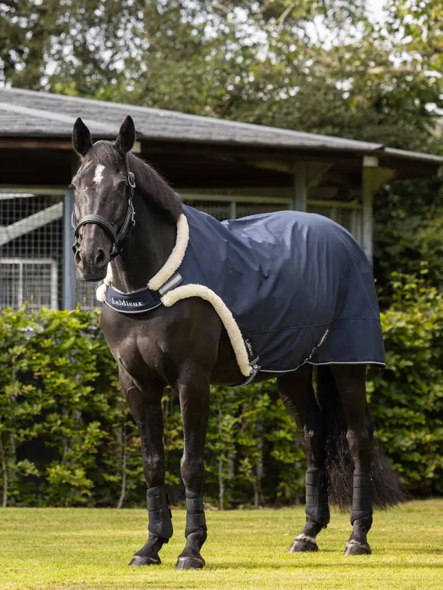 Water-resistant lunging rug for horses
