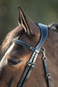 Anatomic Bridle Functional