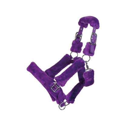 Padded horse halter with practical snap clip for opening
