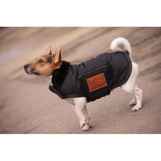 Dog wearing a blackcoat with brown leather patch and faux fur neck