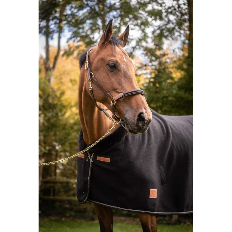 Premium two-tone leather horse halter
