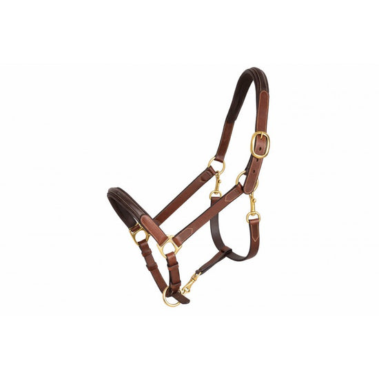 Paddock leather halter with adjustable noseband