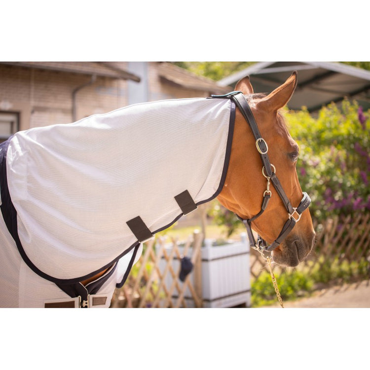 Summer horse blanket