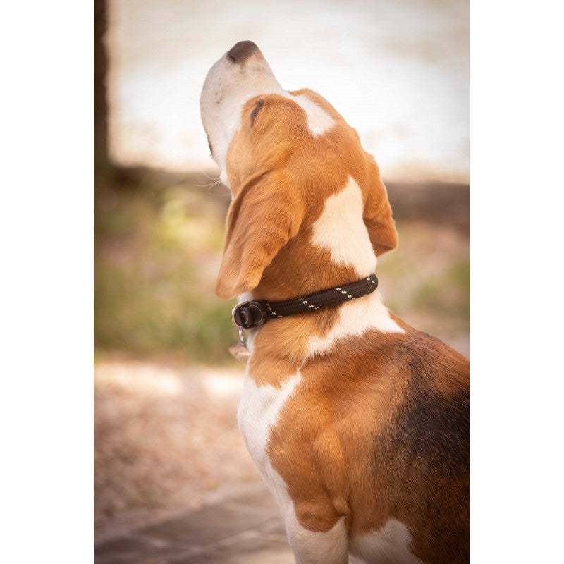 Penelope Billie Dog Collar crafted from premium cowhide leather and durable polyester.