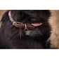 Penelope Billie leather dog collar with an elegant design for everyday walks and outdoor adventures.