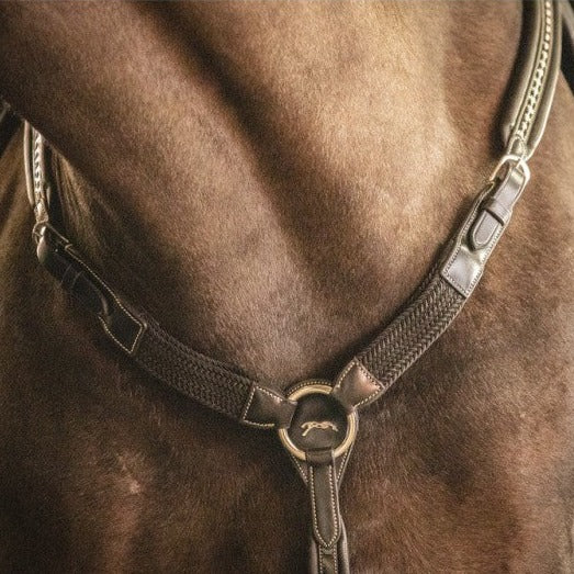 Penelope Martin Collar combining a horse breastplate and martingale.