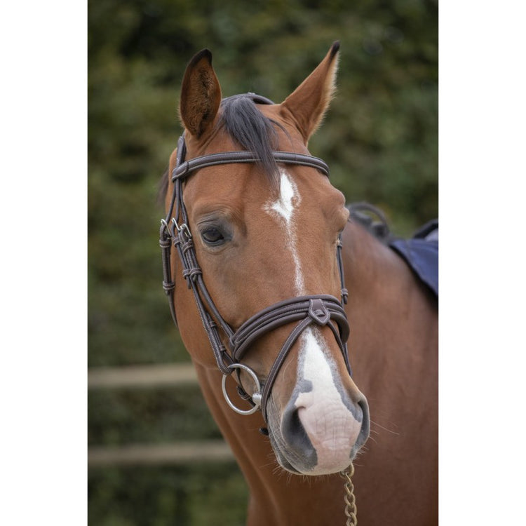 Penelope bridle with contrasting cream stitching and elegant detailing.
