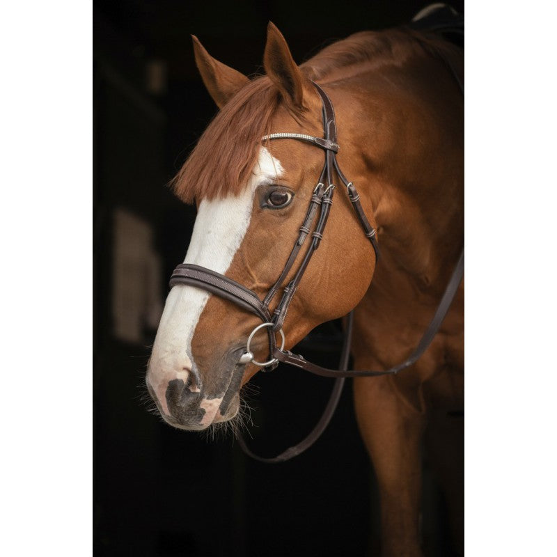 Penelope Daily Strass competition bridle combining classic leather styling with subtle rhinestone details.