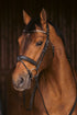 Penelope Daily Strass Bridle with wide two-tone French noseband and sparkling rhinestone browband