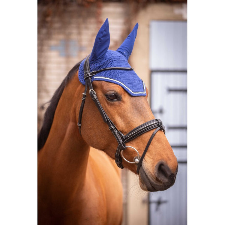 Elegant competition ear bonnet for horses