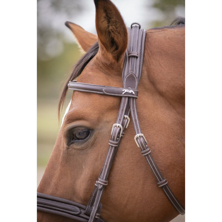 Penelope Elegance leather bridle with wide combined noseband.