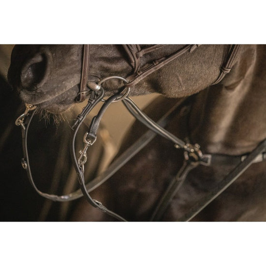 Penelope equestrian training aid for use during ridden horse training.