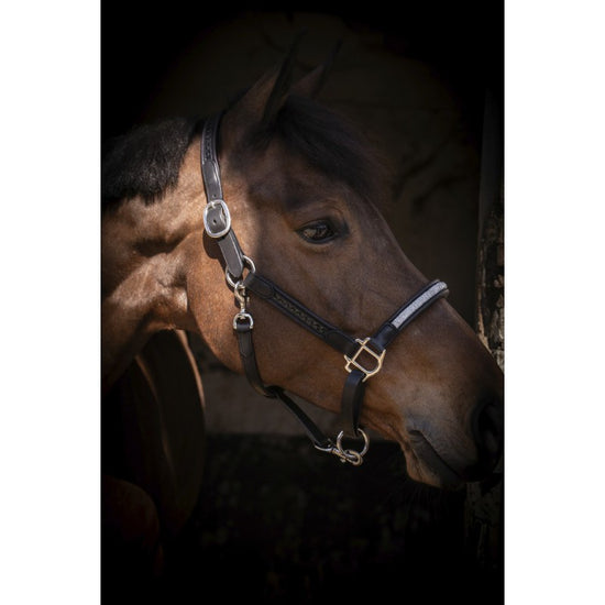 Penelope Harmonie Halter crafted from cowhide leather with elegant rhinestone detailing on the noseband.