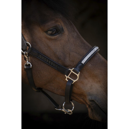 Penelope Harmonie leather halter with Point Sellier patent leather stitching and stainless steel buckles.