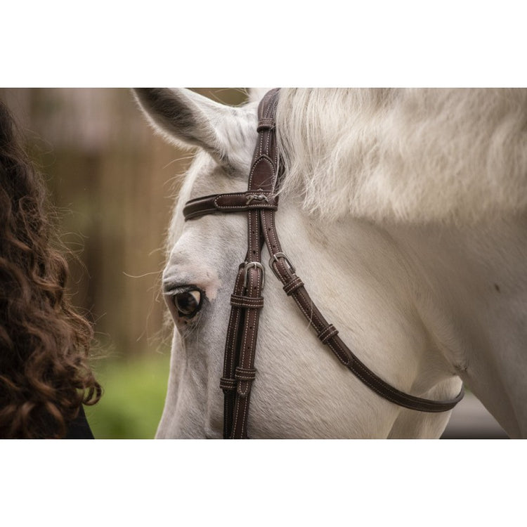 Penelope horse bridle with soft padded anatomical headpiece.