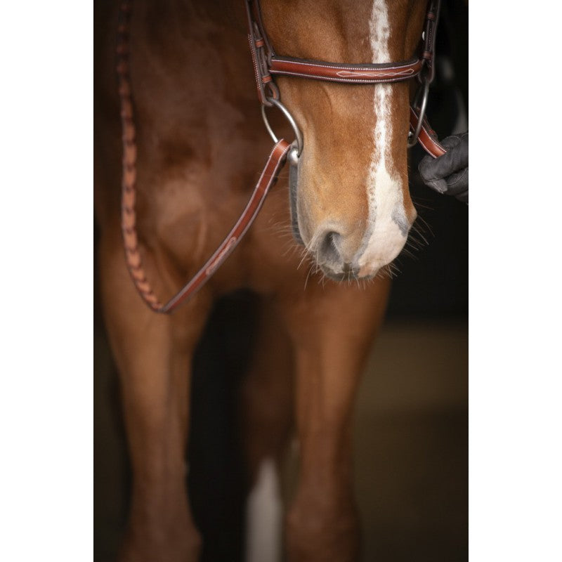 Penelope Hunter fancy stitch bridle with cream stitching on the browband and noseband.