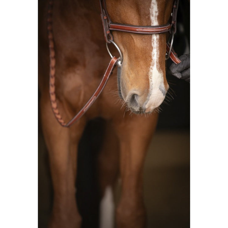 Penelope Hunter fancy stitch bridle with cream stitching on the browband and noseband.