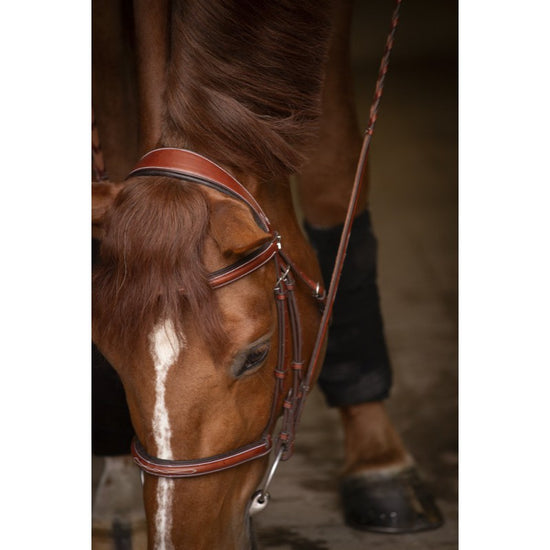 Penelope Hunter leather bridle with slim straps for a traditional and elegant hunter look.