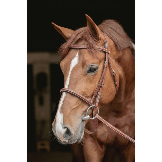 Penelope Hunter US Bridle in supple hazelnut leather with contrasting Havana leather lining.