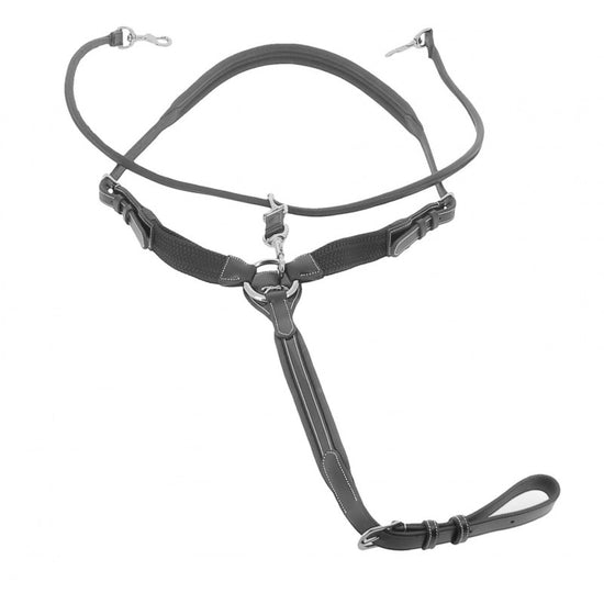 Penelope Martin training collar designed for independent use or combination with compatible attachments.