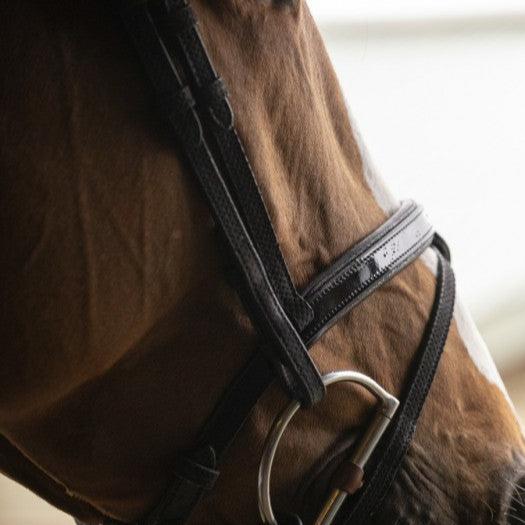 Penelope Oxford competition bridle with perforated leather and padded headpiece for added comfort.