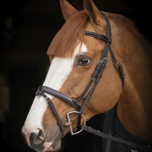 Padded leather horse bridle with reinforced headpiece and removable flash strap.