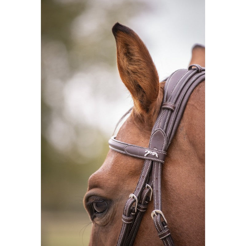 Penelope padded horse bridle designed for an elegant and polished look.