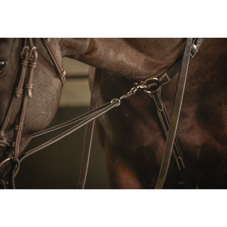 Penelope training aid designed to support a consistent rein connection.