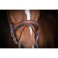 Padded flash noseband with removable flash strap