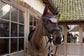 Pied-de-poule equestrian fly veil for a coordinated riding look