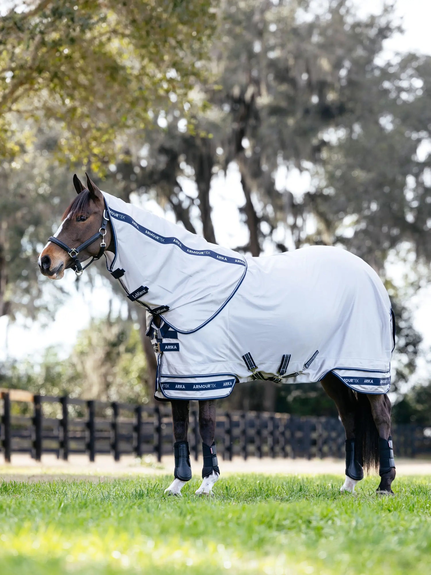 LeMieux fly rug with belly coverage