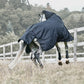 Kingsland equestrian horse rugs