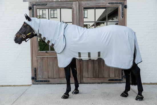 Sweet itch rug for horses
