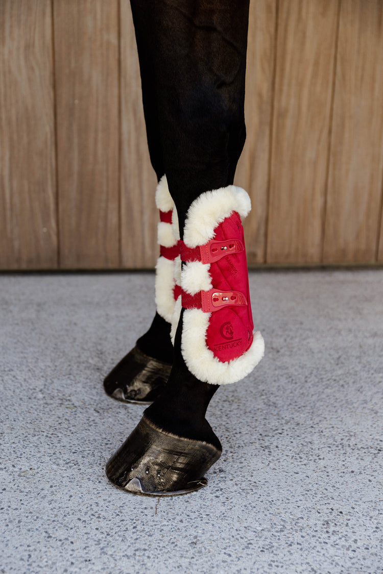 Red show jumping boots for horses