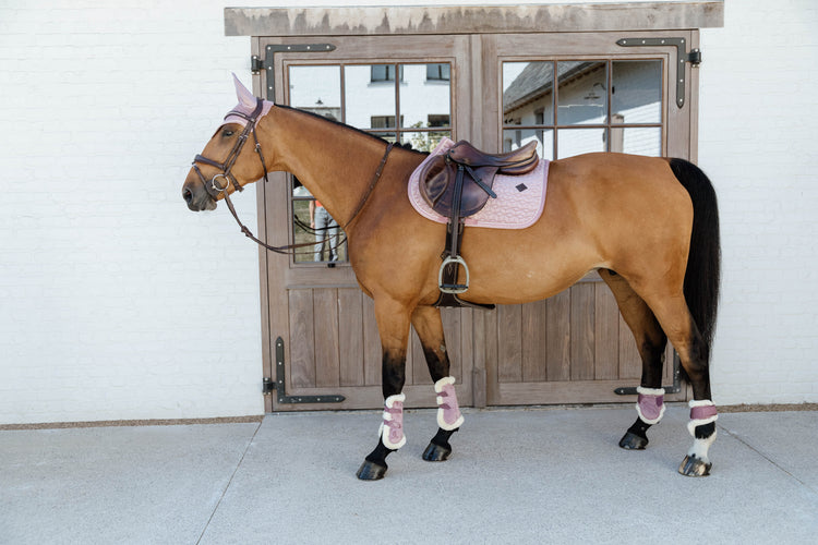 Pink matchy matchy set from Kentucky Horsewear