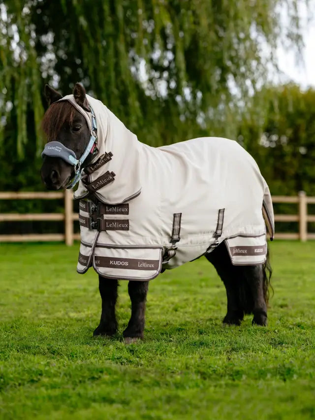 LeMieux fly rug with freedom of movement