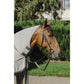 Fly rug for riding with extra protection