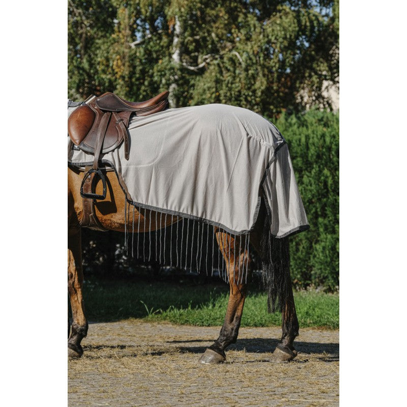 Fly rug exercise sheet for fly protection