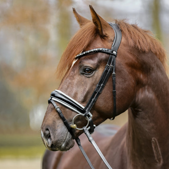 Bridle "Liliana"