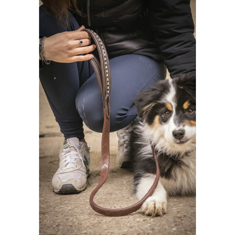 Rubber grip dog leash with comfortable handling and high-quality stainless steel hardware.