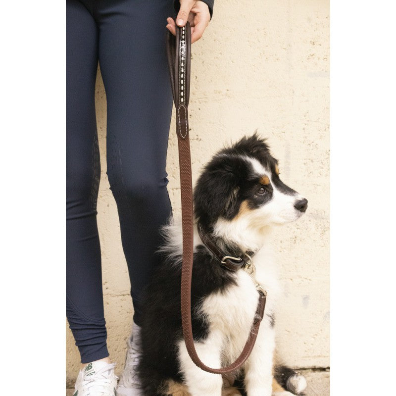 Rubber and leather dog leash with comfortable grip for everyday dog walks.