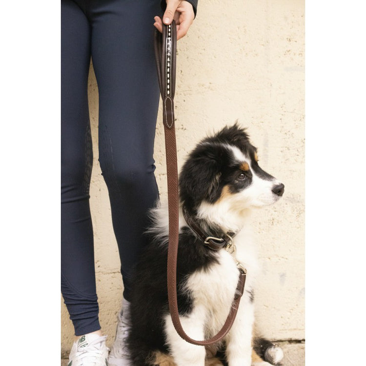 Rubber and leather dog leash with comfortable grip for everyday dog walks.