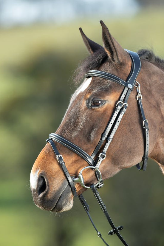 Anatomic Bridle Functional