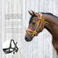 Horse wearing the Stübben Freedom II Magic Tack Bridle for training and competition