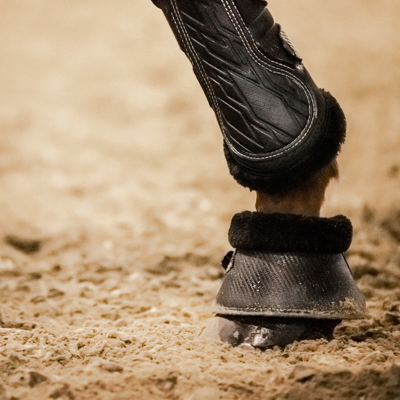 Horse wearing Stübben Gravity Overreach Boots with Fleece during training.